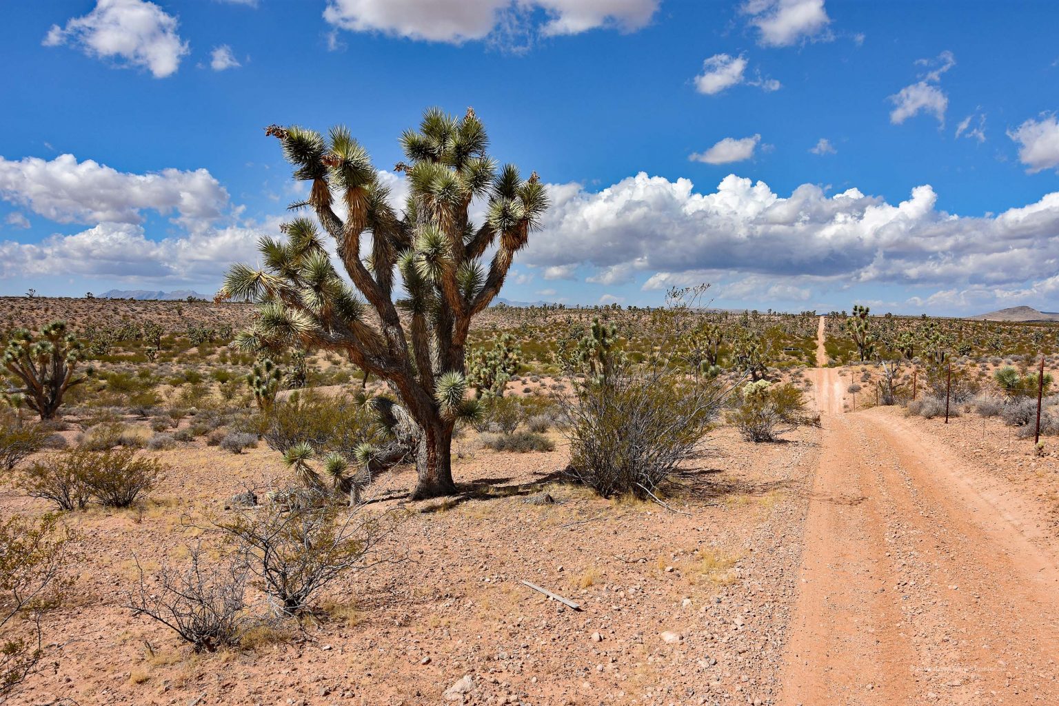 Weite Straße durch die Wüste