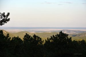 Ausblick der Präsidenten