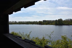 Ausblick vom Vogelbeobachtungsturm