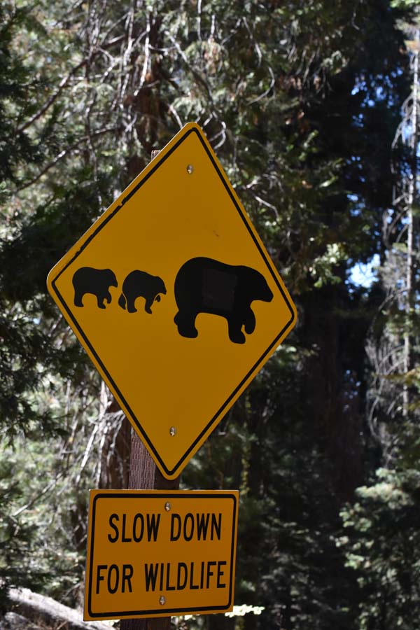 Warnhinweis vor Bären