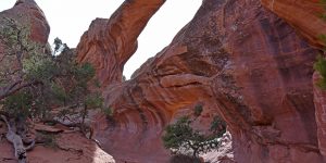 Nationalpark mit Double O Arch