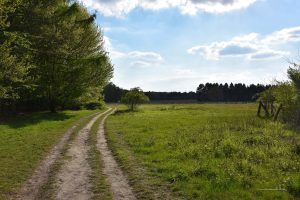 Naturschutzgebiet Hühnerkamp