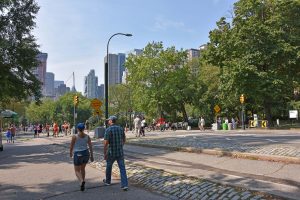 Straße im Central Park