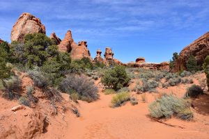 Weg im Arches Nationalpark