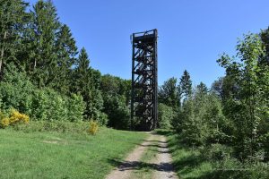 Aussichtsturm Knollen