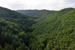 Ausblick von der Hängeseilbrücke