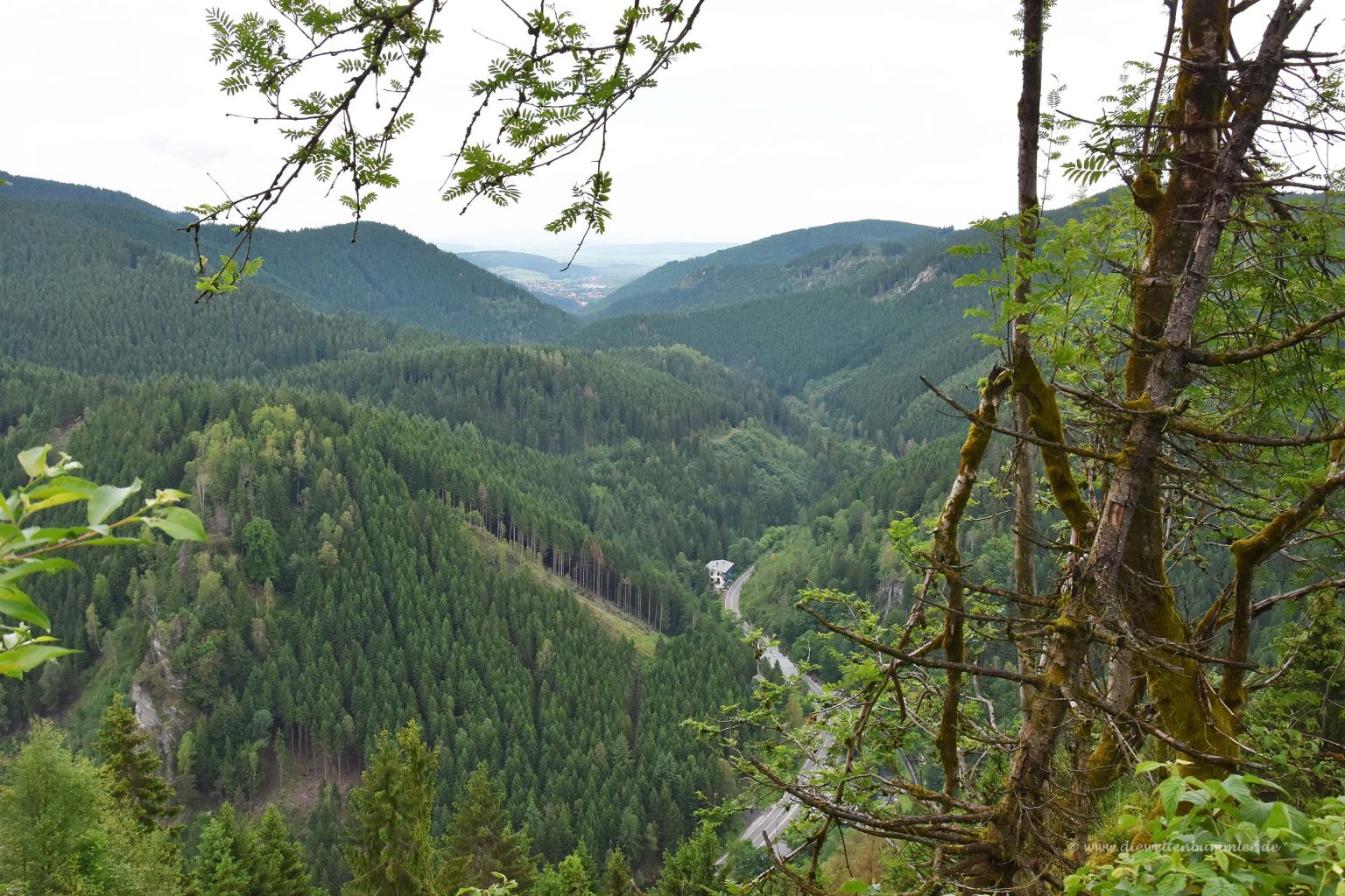 Blick in das Okertal