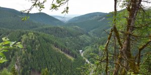 2017 - Wohnmobil-Tour in den Harz