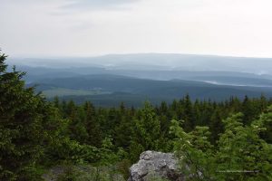 Panorama von der Wolfswarte