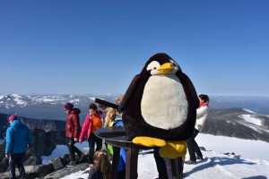 Pingu auf dem Galdhoppigen