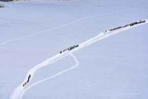 Wanderer am Seil auf dem Gletscher