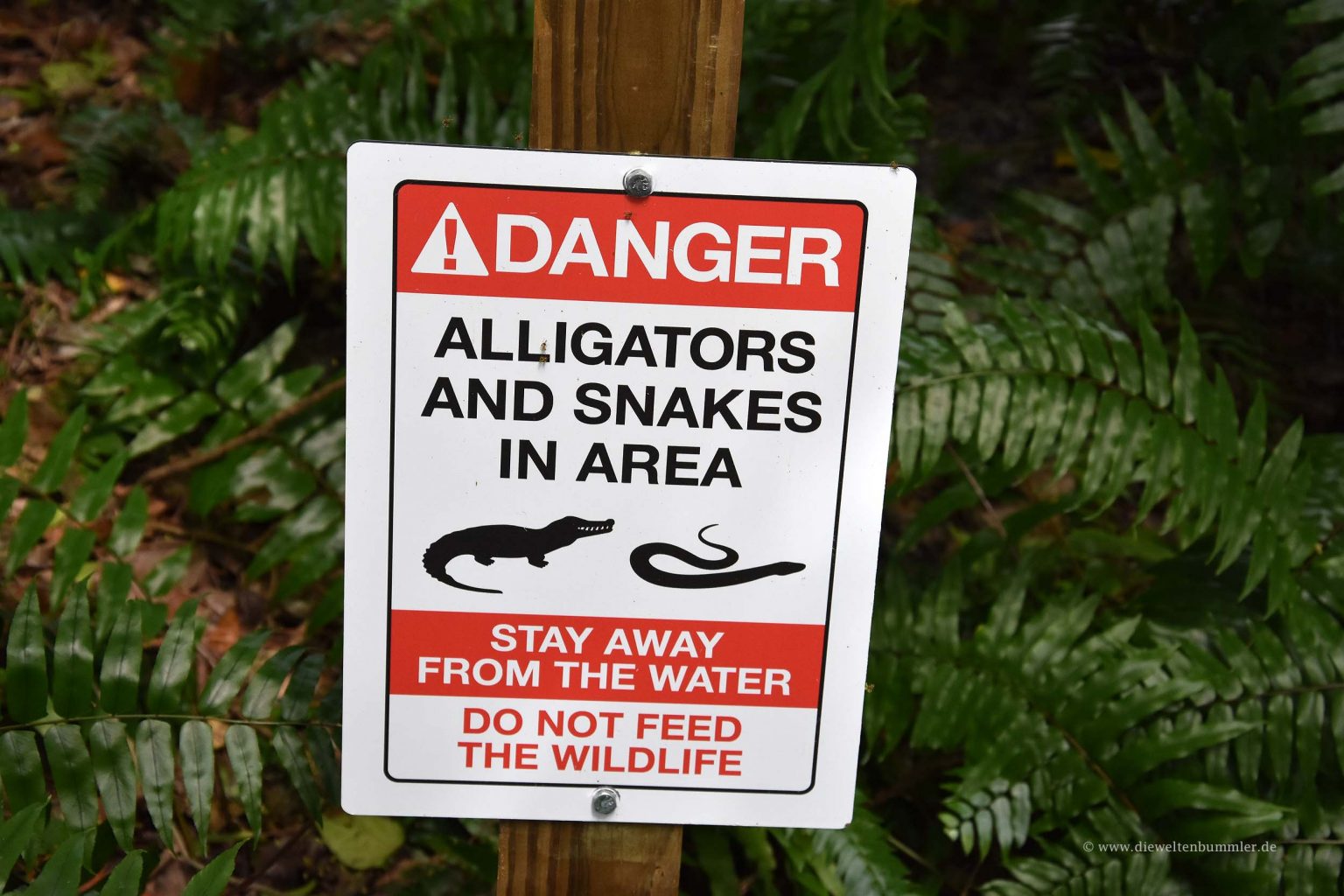 Warnhinweis vor Alligatoren