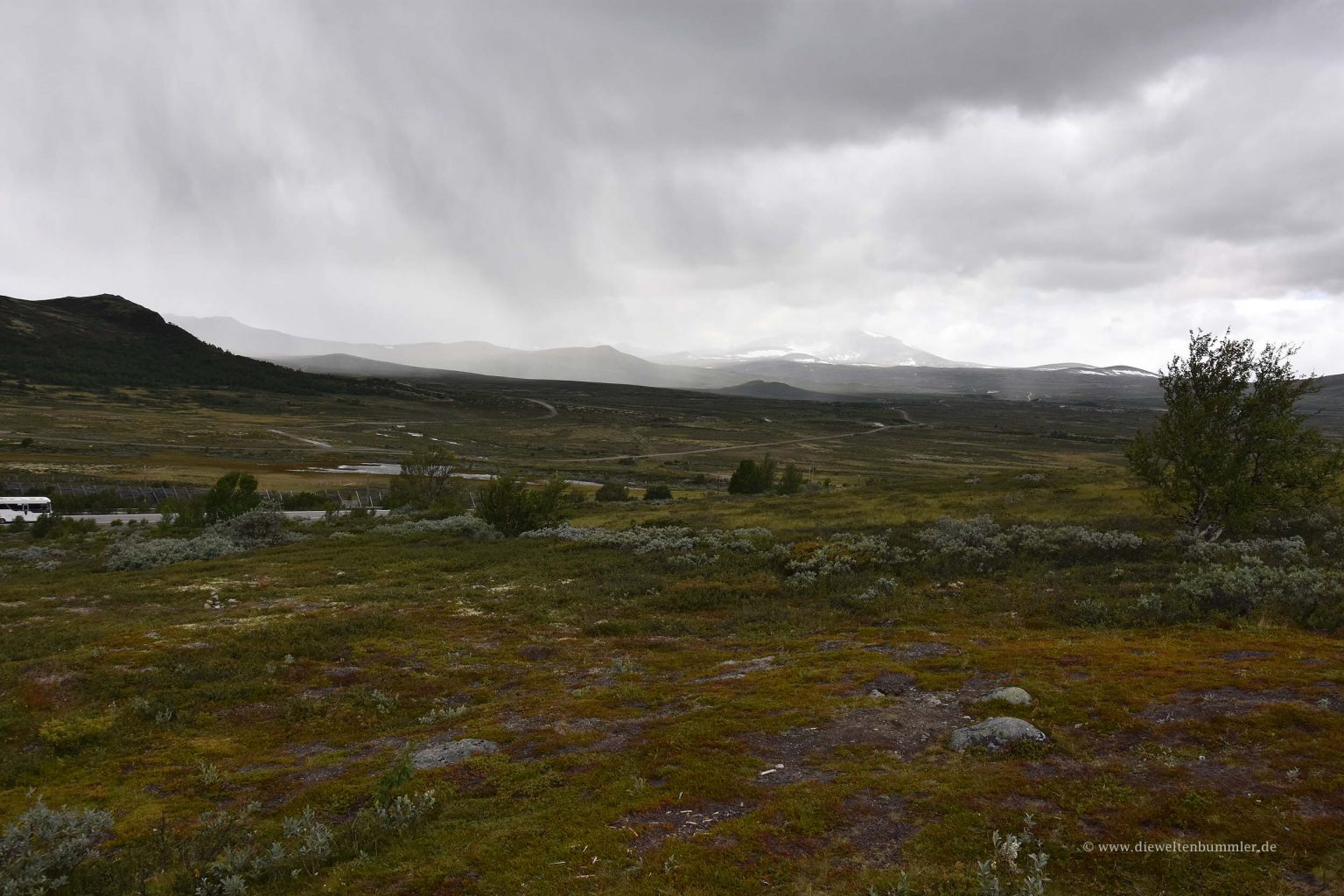 Durchquerung des Dovrefjell-Nationalparks