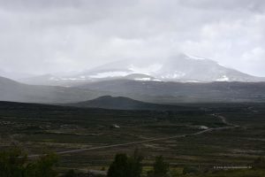 Dovrefjell