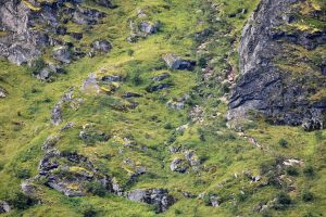 Der Wanderweg im Reinebringen