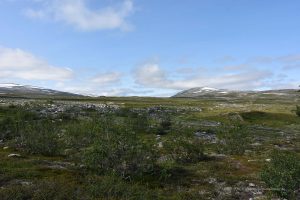 Saltfjell Svartisen-Nationalpark