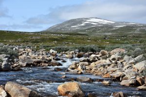 Svartisen Nationalpark