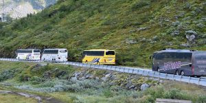 Viele Touristen in Bussen unterwegs