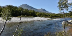 Fluss im Rondane Nationalpark