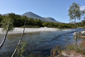 Fluss im Rondane Nationalpark