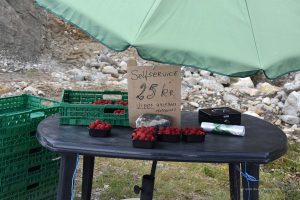 Einkaufen auf Vertrauensbasis