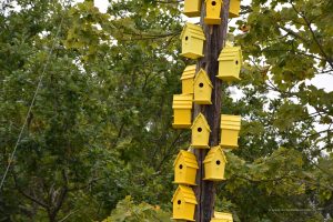 Zahlreiche Vogelhäuser