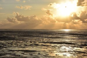 Weites Wattenmeer