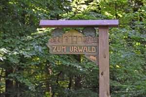 Neuenburger Urwald