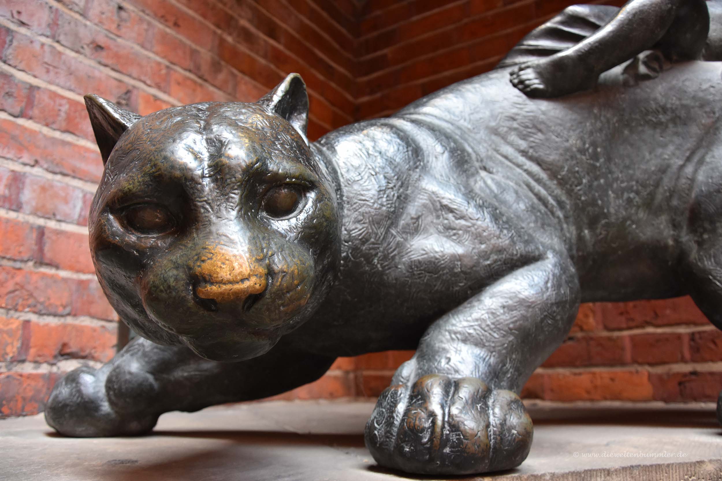 Katze im Schnoorviertel