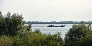 Schiffsverkehr auf der Elbe