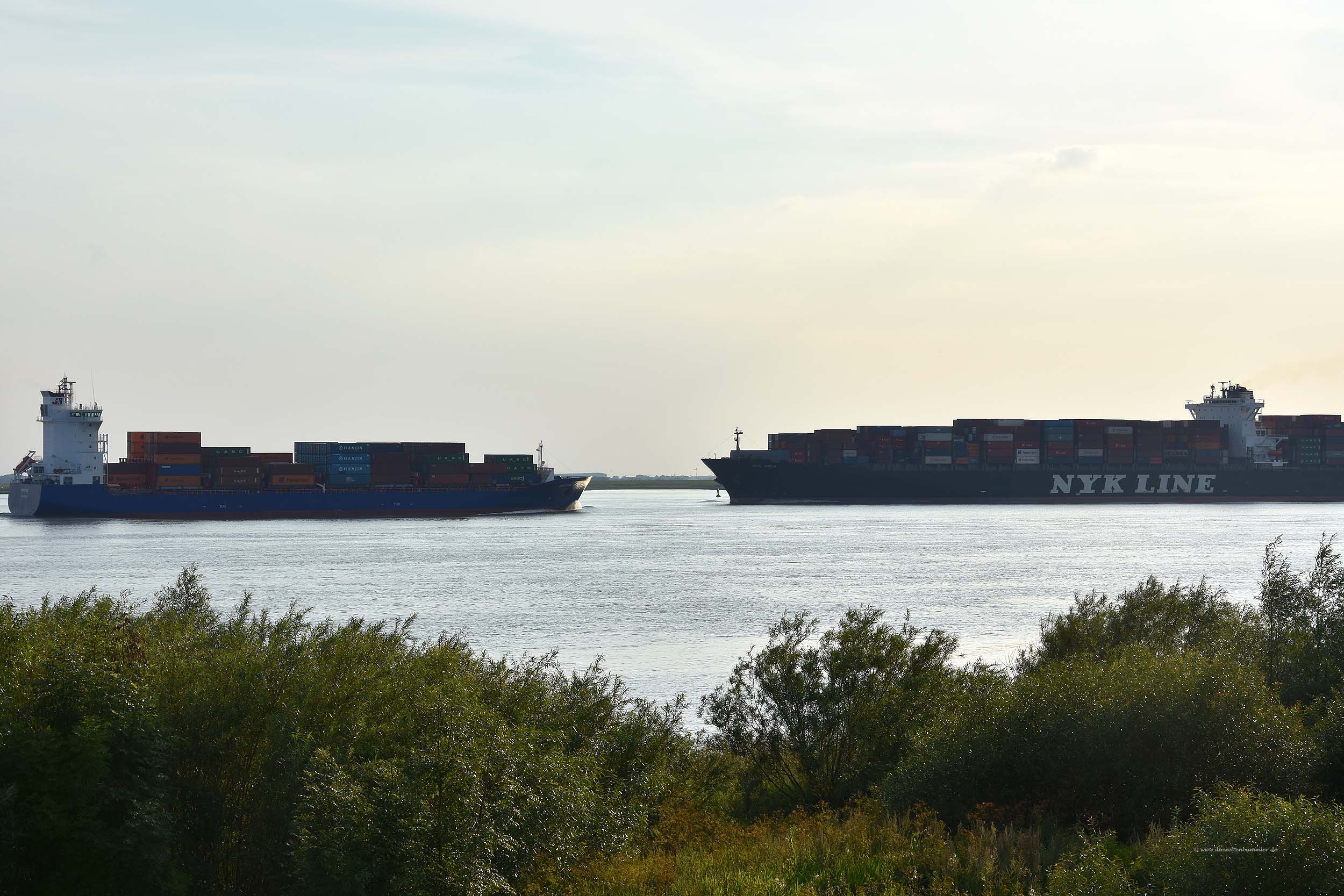 Frachtschiffe auf der Elbe