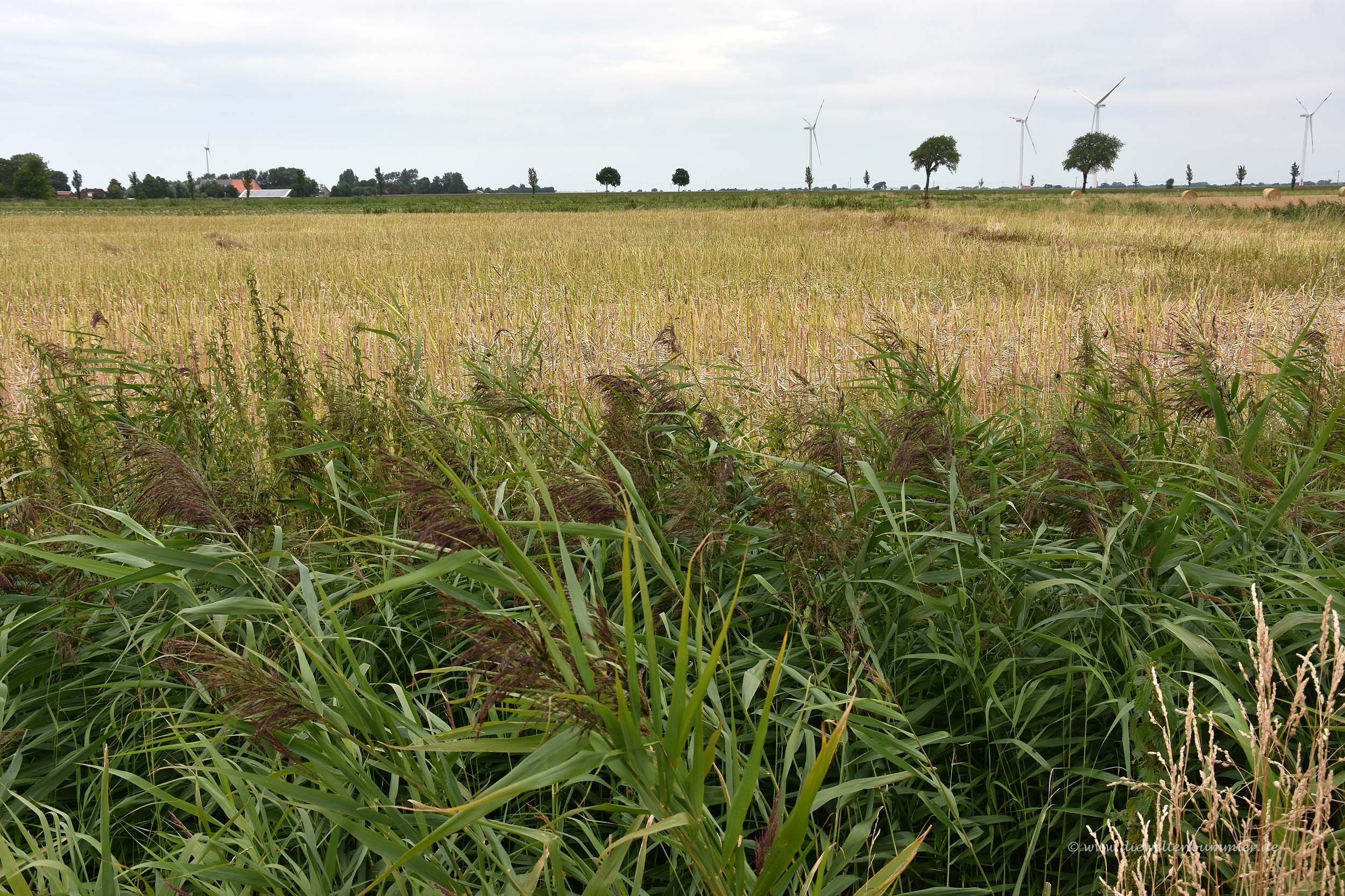 Auf dem Acker der Konfluenzpunkt