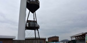 Seehundstation in Friedrichskoog