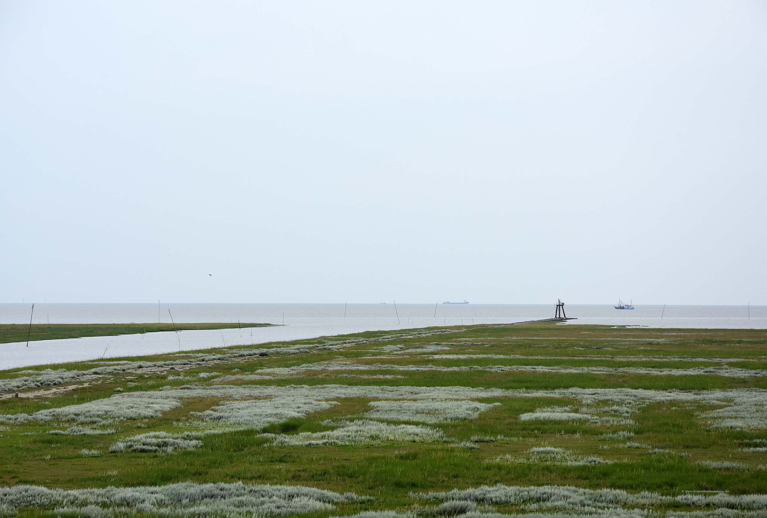 Weite Küstenlandschaft