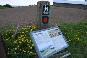 Wanderweg zum höchsten Berg Dänemarks