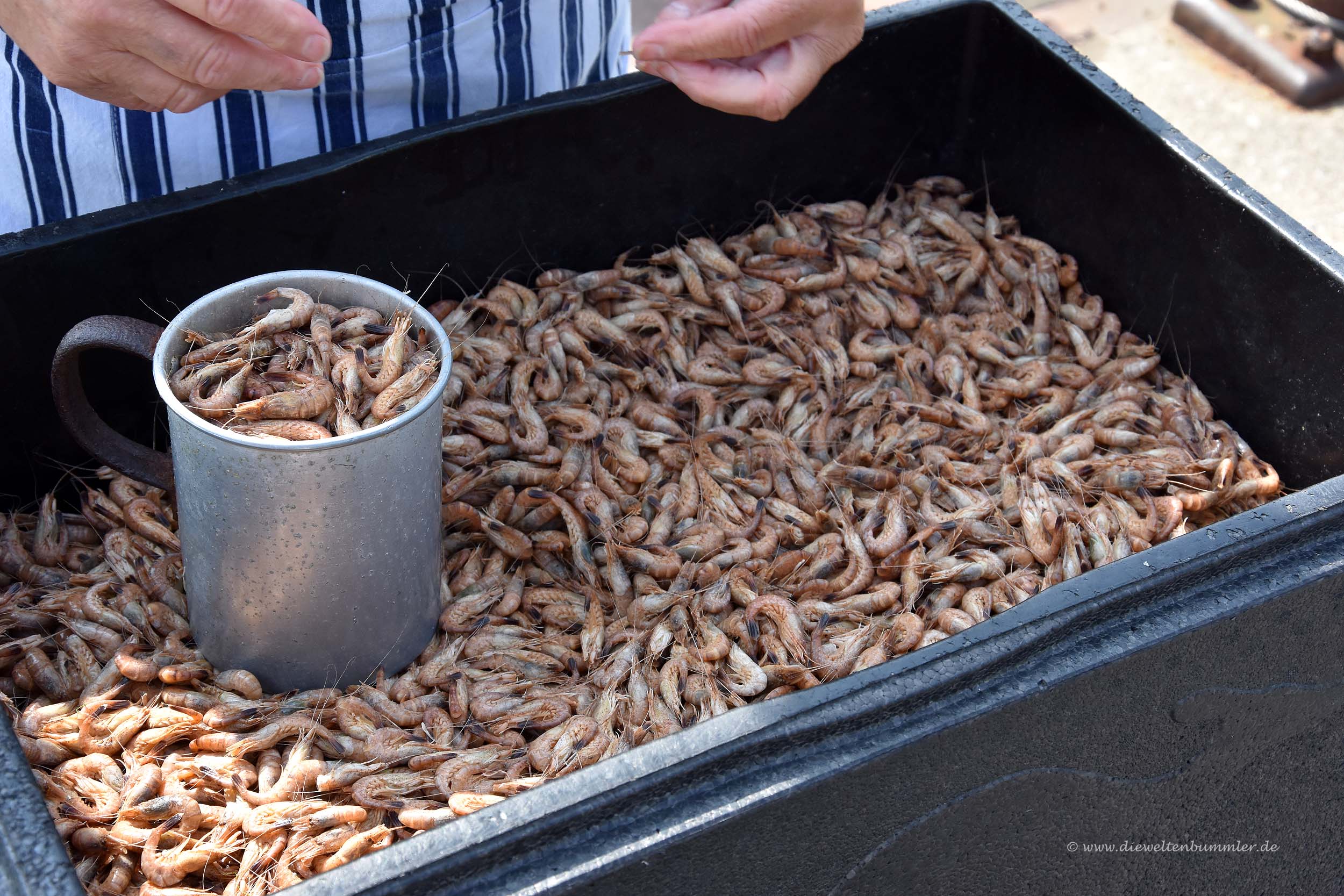 Frische Nordseekrabben