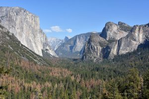 Blick in das Yosemite-Tal