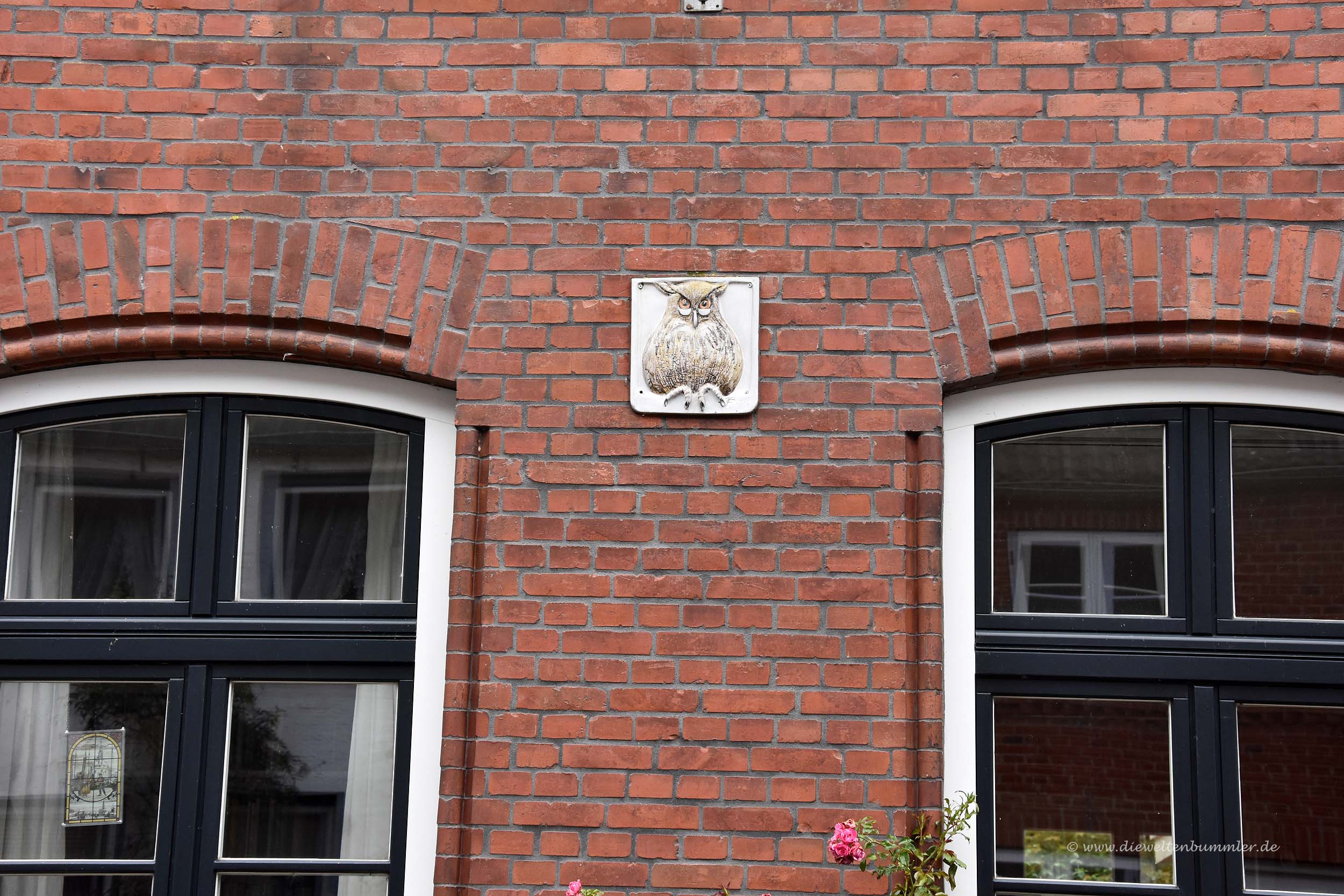 Eule in Friedrichstadt