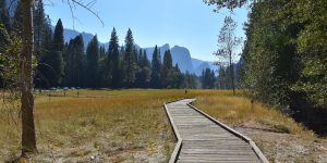 Kleiner Wanderweg auf Holzbohlen