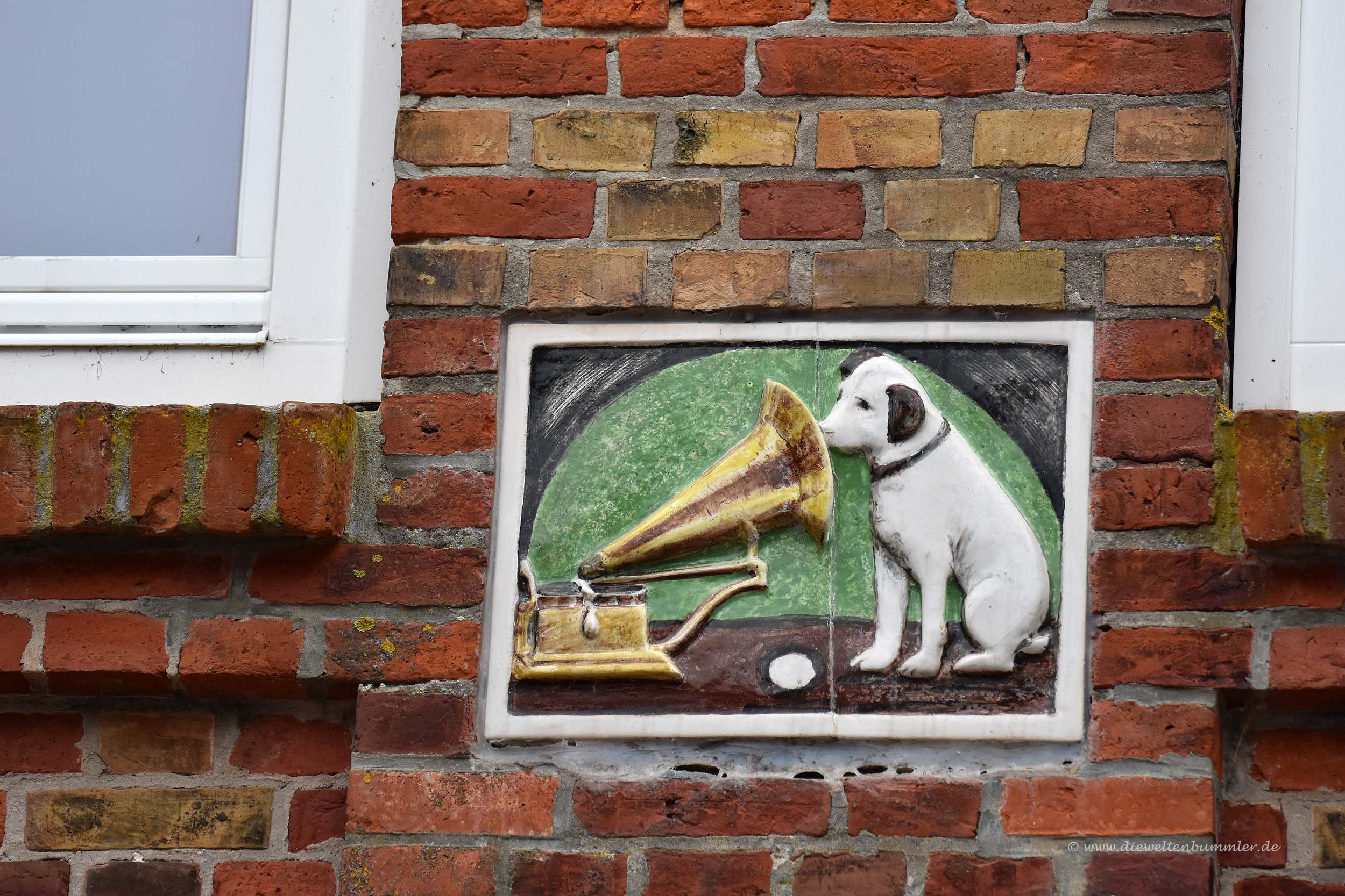 Musikalischer Hund