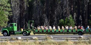 Touristen-Bespaßung