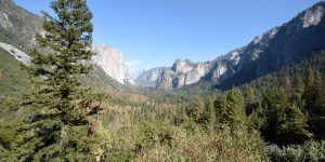 Besuch im Yosemite-Nationalpark
