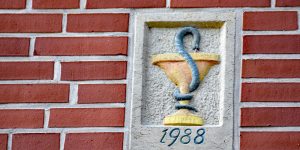 Äskulap um einen Kelch