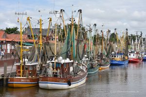 Fischkutter im Hafen