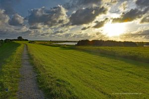 Abendspaziergang am Deich