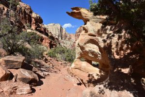 Canyon im Nationalpark