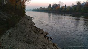 Die Traun fließt südlich von Wels