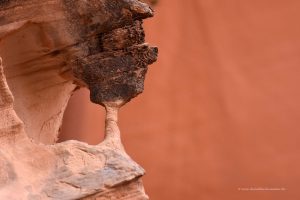 Filigrane Felsformationen