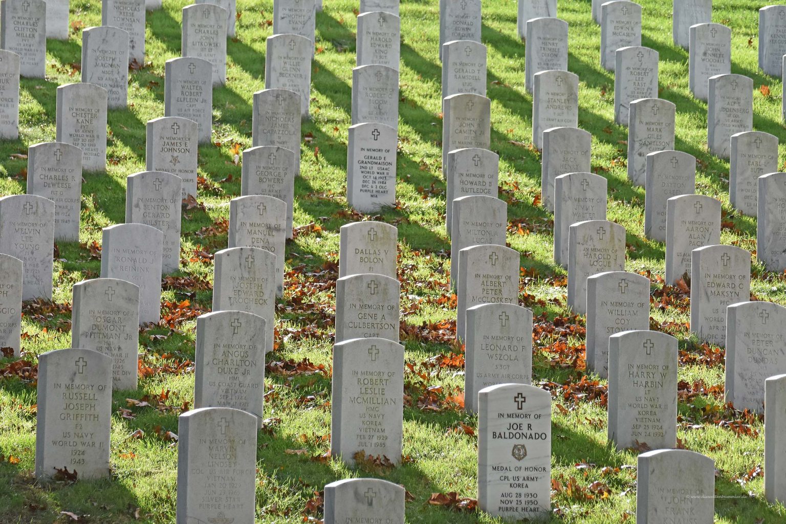 Grabsteine auf dem Friedhof in Arlington