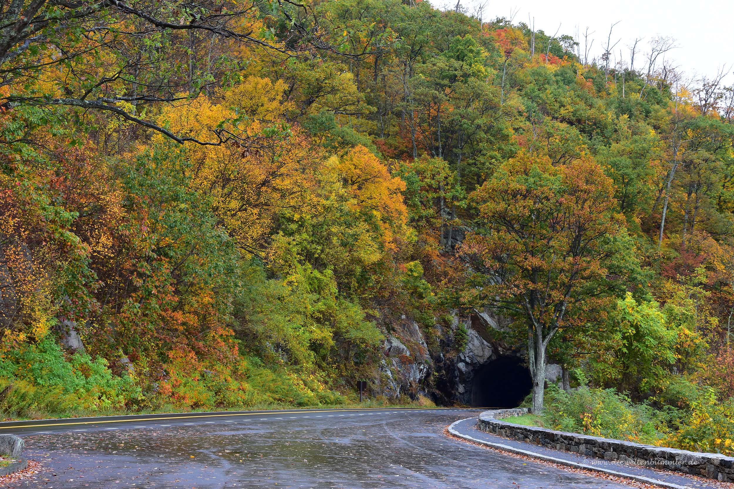 Manchmal fährt man durch Tunnel